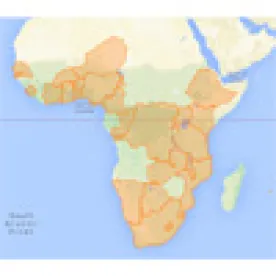 Foreign Venture Capital Investments in Sub-Saharan African Technology Startups 