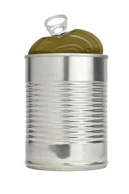 food can, fda, food contact substances