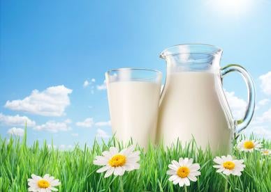 Soy and Almond Milk Labeling Regulations