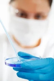 South Korea Developing Regulatory Framework For Alternative Proteins