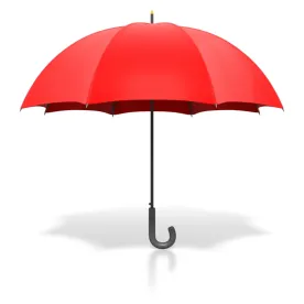 Reinsurer Denied Partial Summary Judgment due to umbrella policies being ambiguous
