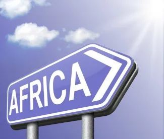Africa, Lessons for Nigeria from US Buy American Act 