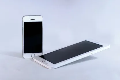 Phones, Supreme Court Holds Profit from Components of Infringing Product Can Be Appropriate Measure of Design Patent Damages