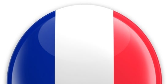 French CNIL Terms of Reference