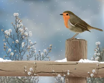Weathering Winter Storm, Business Disaster Planning
