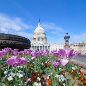 Capitol, Senate Continues with NDAA; House Takes Up Puerto Rico, Energy Tax Bills