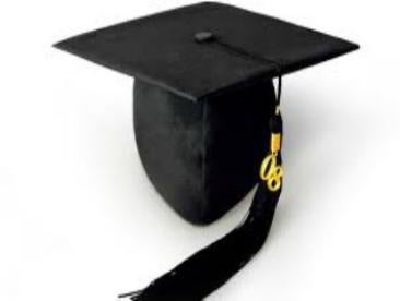 College, university, cap and gown, graduate, graduation, program, degree, bachelor's, public school, private non-profit, student loans