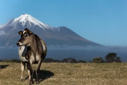 “Grass Fed”, Marketing Claim, Livestock, Food Law