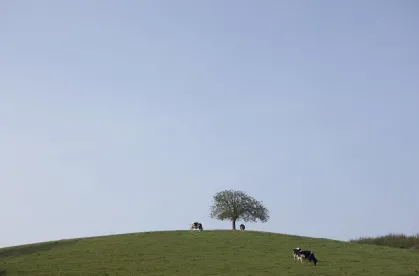 Proposed Michigan Agricultural Environmental Assurance Program (MAEAP) Rules Nar