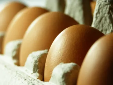 Eggs