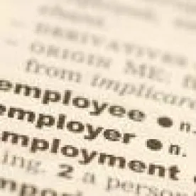 employee employer employment in the dictionary 