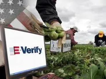 Pros and Cons of Registering for E-Verify I-9 Audits