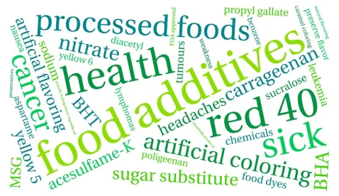 Recycled Plastics in Food Packaging
