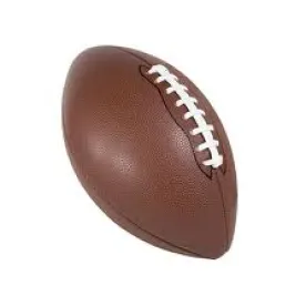 Football, Fight On? Student-Athletes Press for Employee Status Despite Seventh Circuit Rejection