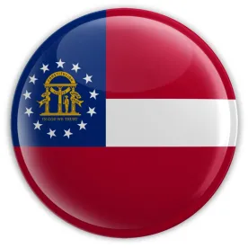 Georgia Supreme Court Decision Computer Trespass Statute