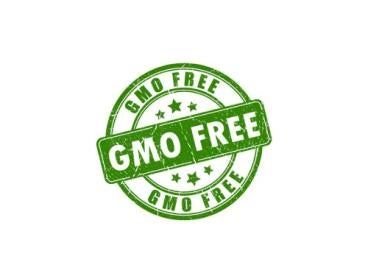 GMO, food, non-gmo