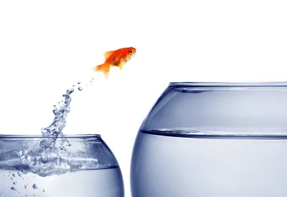 Teach the Jury to Fish Instead 
