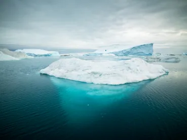 Pension Plan Sponsors: Whether Your Pension Plan is Frozen, Partially Frozen or 