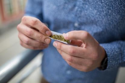 Massachusetts Marijuana Employment Laws