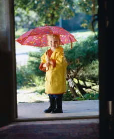 Consumer Protection, Children's Toys, Albany, Legislature, Toxic Law