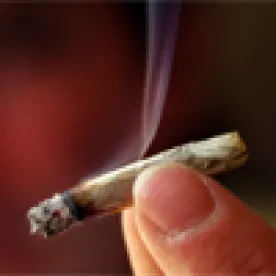 Banking, Marijuana, Credit Union in Colorado 