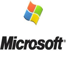 Microsoft Corporation v. Parallel Networks Licensing: Granting Institution Despi