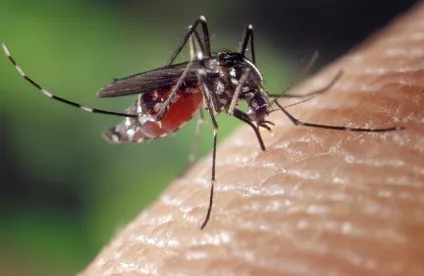products combining sunscreens with insect repellents 