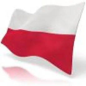 Elections to the European Parliament  Poland Voting