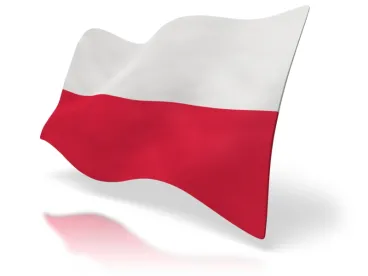 Poland's UOKiK 2020 Operations