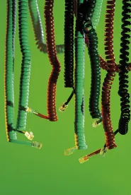 Phone Cords, Telecom Alert - Pole Attachment Regulations; Next-Generation Networks; Broadband Deployment; USF High-Cost Support Rules; Business Data Services