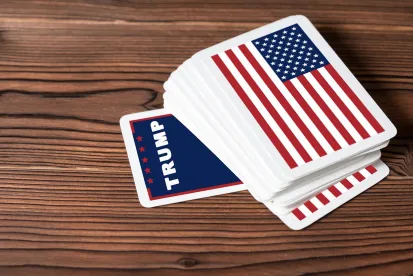 Election 2020: Politics at work