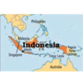 IKEA Indonesia Case Highlights the Importance of Prudent Management of International Trademark Portfolios