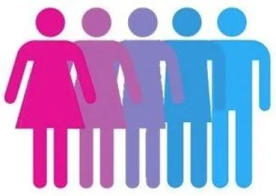 Transgender, Bathroom Chronicles: Texas Judge Stops Government From Imposing Transgender Student Guidelines on Schools