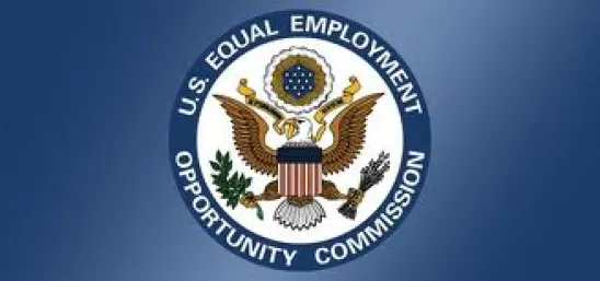 EEOC Explore  an Interactive Tool to Search EEO-1 Data 