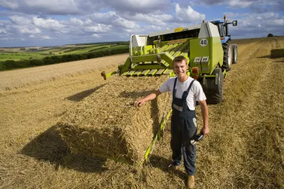 farm, farming, farmer, agriculture, food, growing, crop, industry, farmland, program, agricultural