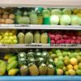 GMOs at the Ballot Box: the Drama Continues