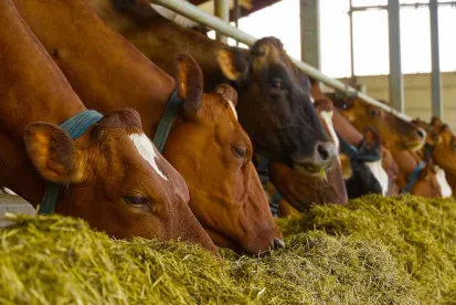 Dairy Farm Methane Production