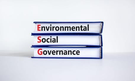 ESG webinar series for companies
