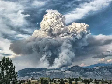 California Wildfire Insurance
