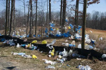 consumer plastics recyling