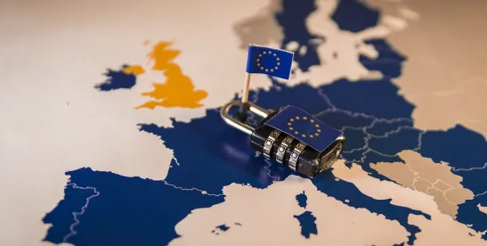 Privacy Shield Invalidated by the European Court of Justice Applying the GDPR