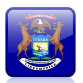 Michigan Healthcare Scope