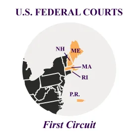 Ascend Learning v. Bryan and SPIN Learning Ruling