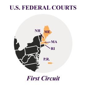 First Circuit  ADA Regulations And Informational Injury Appeal