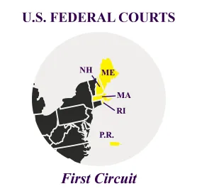 First Circuit BAS Holding Arson