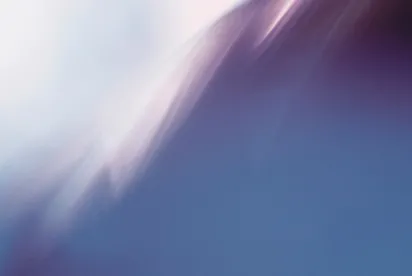 EPA Pigment Violet 29 chemical review meeting
