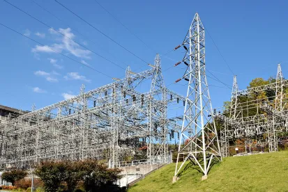 renewable energy in 2021