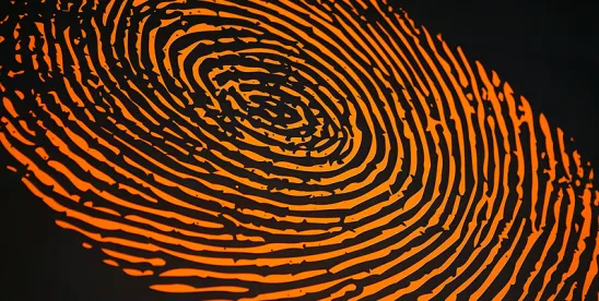 2022 in Biometric and AI Litigation