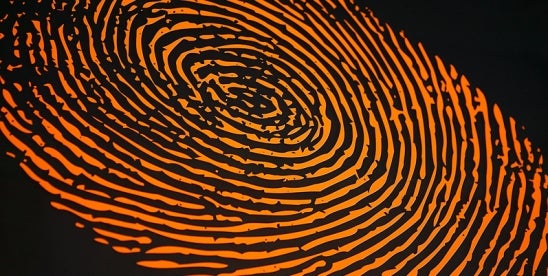 Fingerprint 