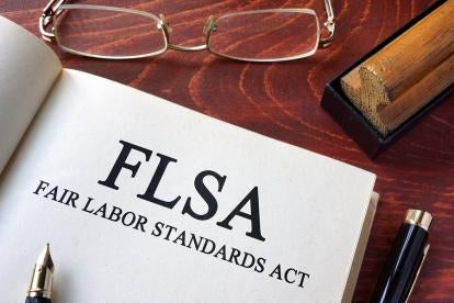 FLSA book with legal labor issues